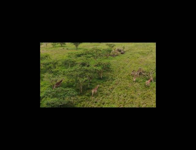 LAND FOR SALE IN ALBERT FALLS